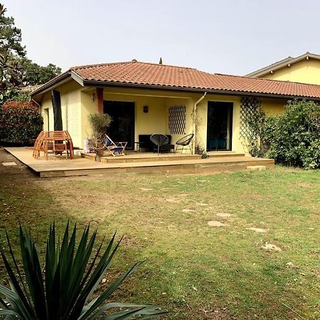 Villa Patio A 800 M De La Plage 塞尼奥斯 外观 照片